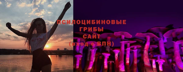 прущая мука Дмитриев