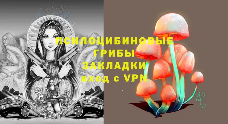 Галлюциногенные грибы Magic Shrooms Петровск